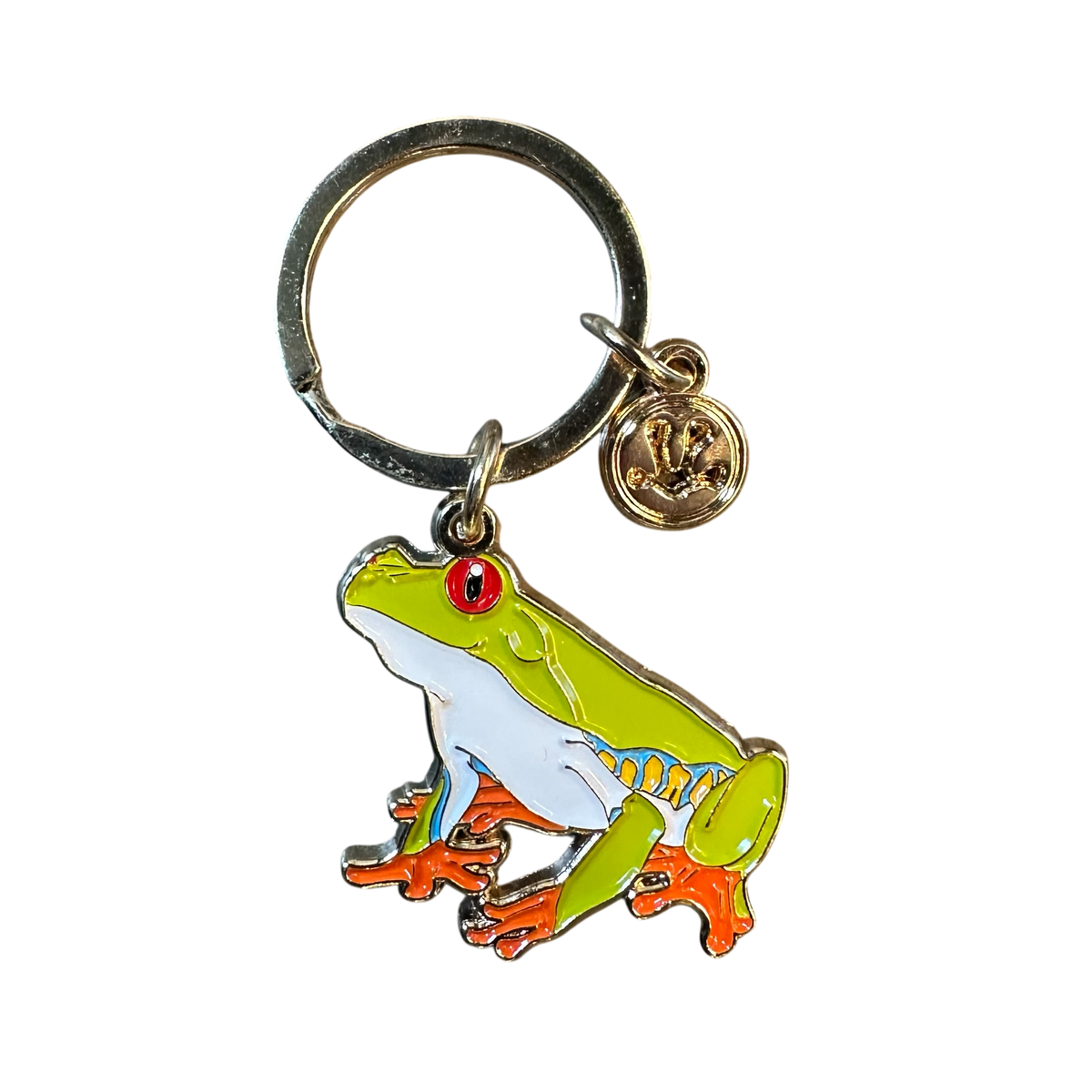 Key Chain - Red Eyed Tree Frog Vivarium Supply | FrogDaddy