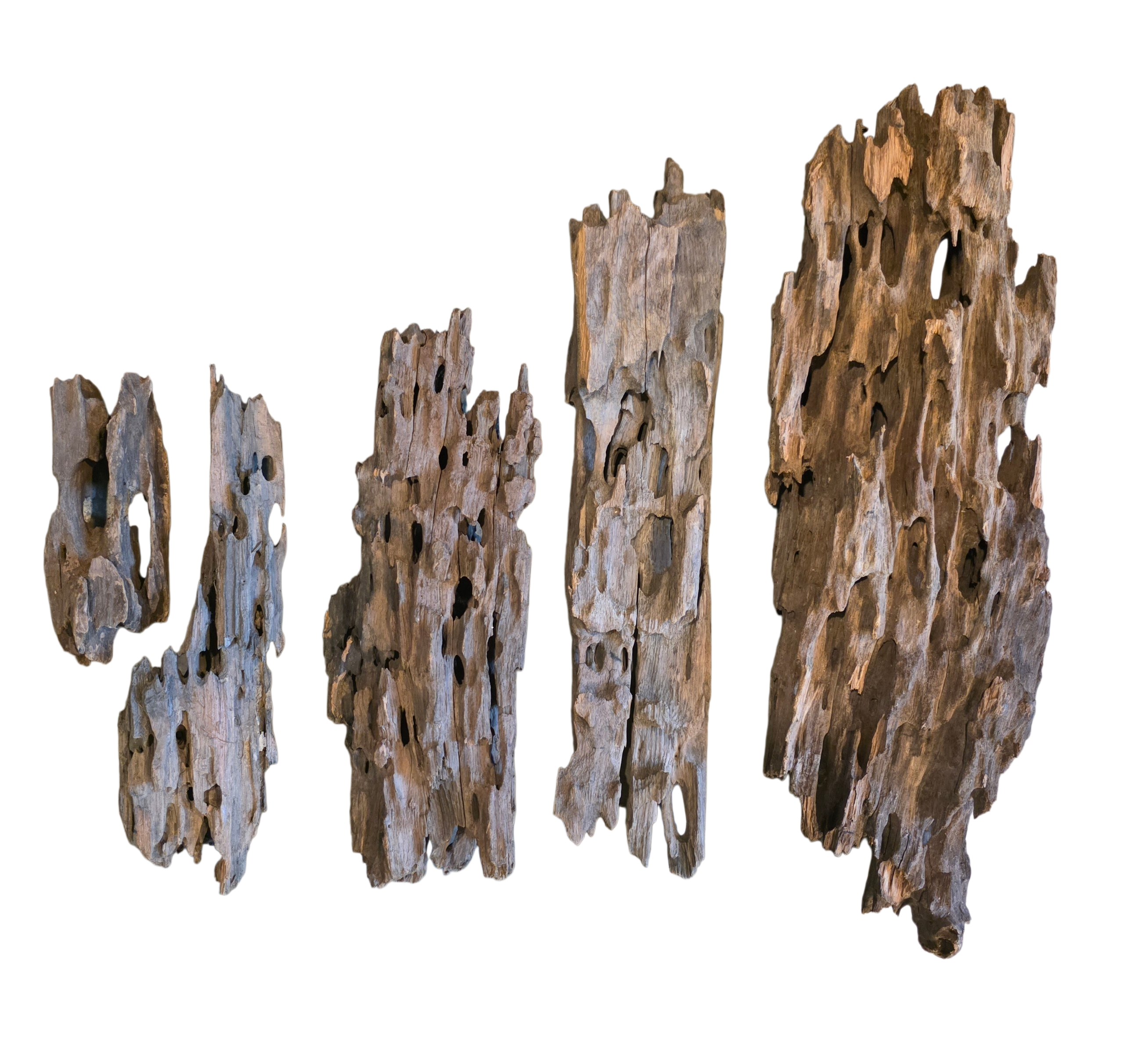 Dragon Wood image 2