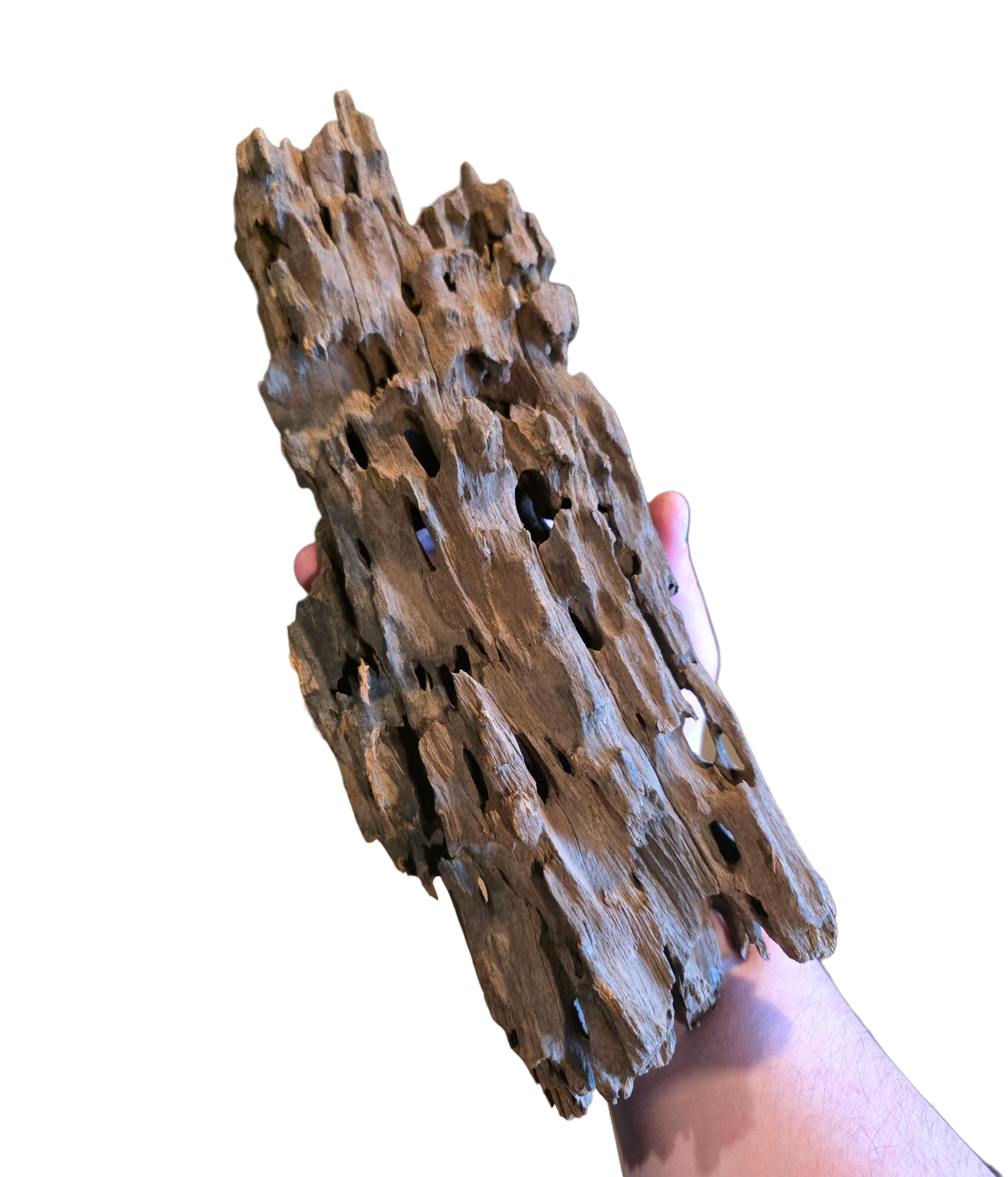 Dragon Wood image 5