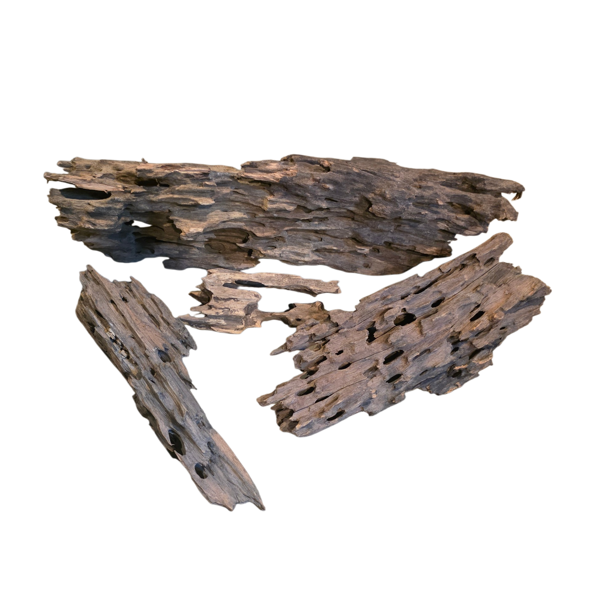 Dragon Wood