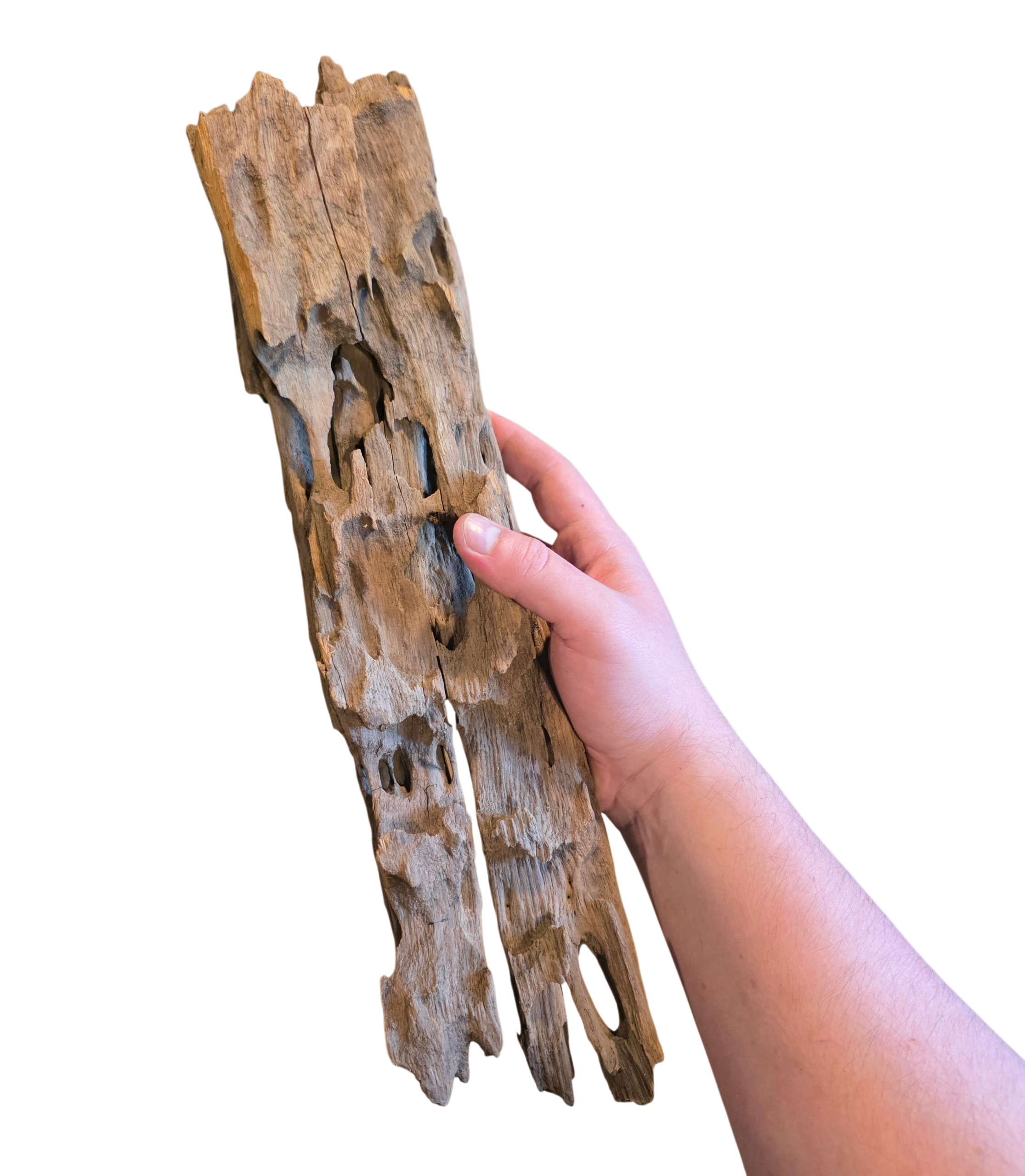 Dragon Wood image 6