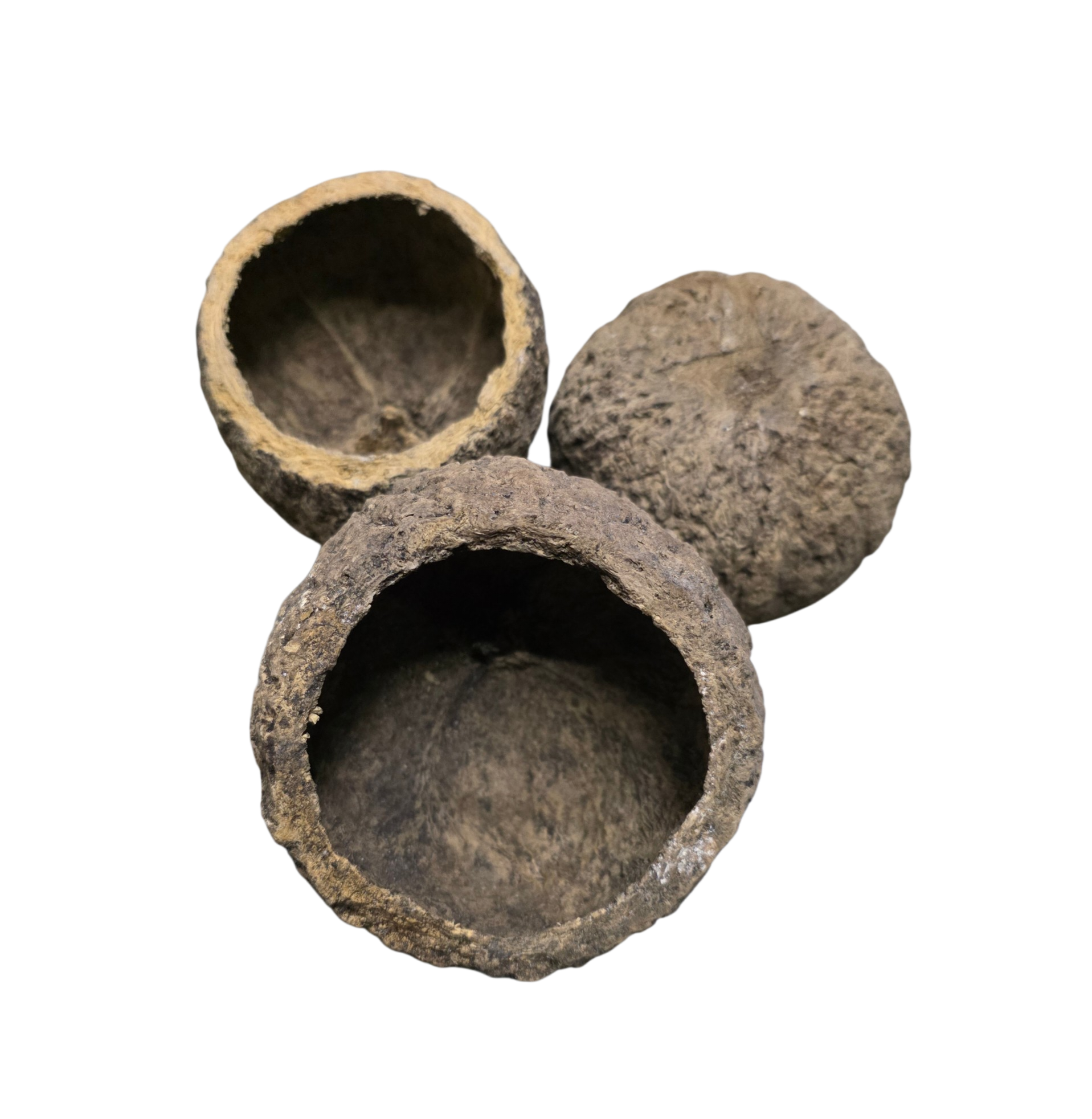 Mayan Pod