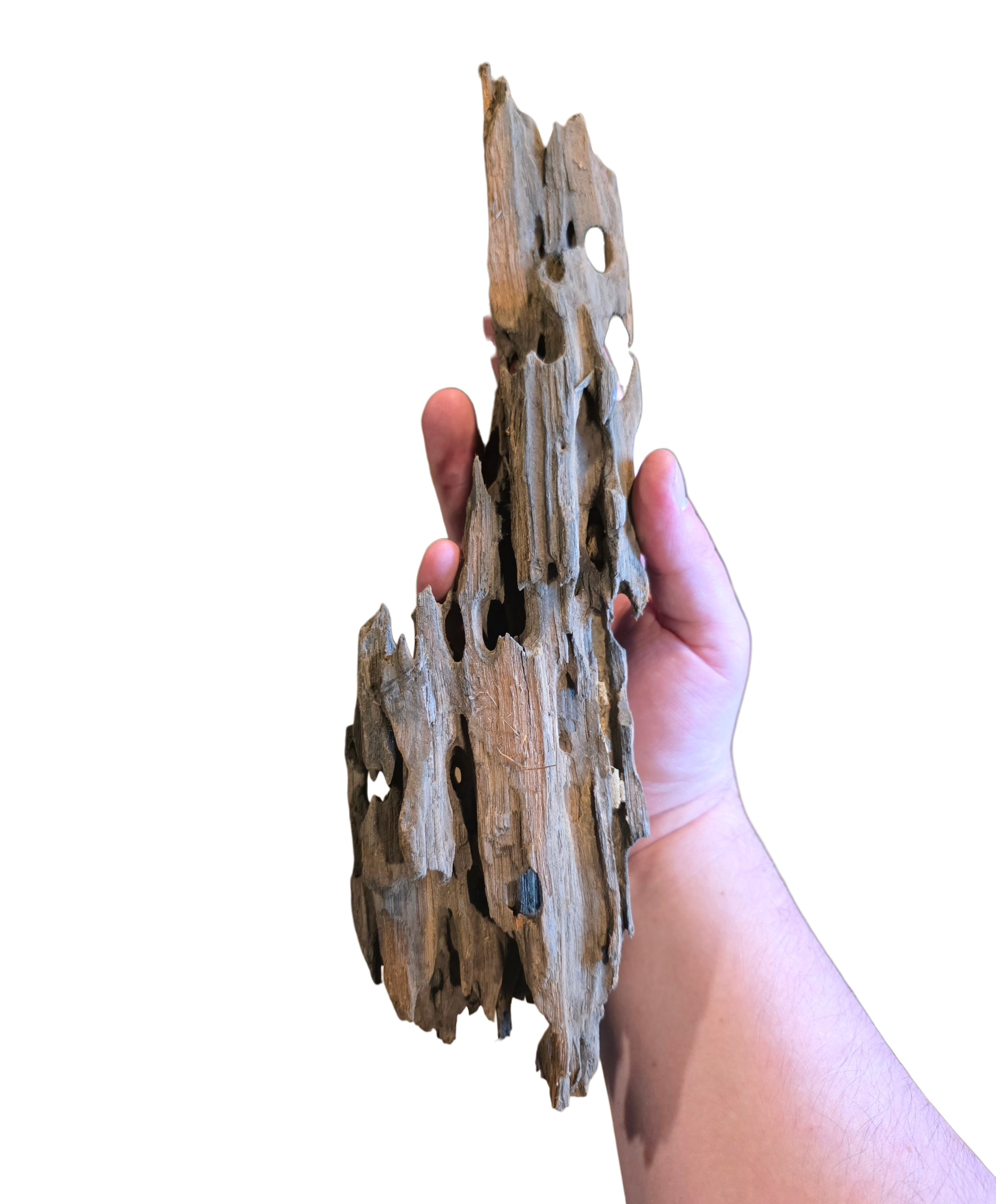 Dragon Wood image 4