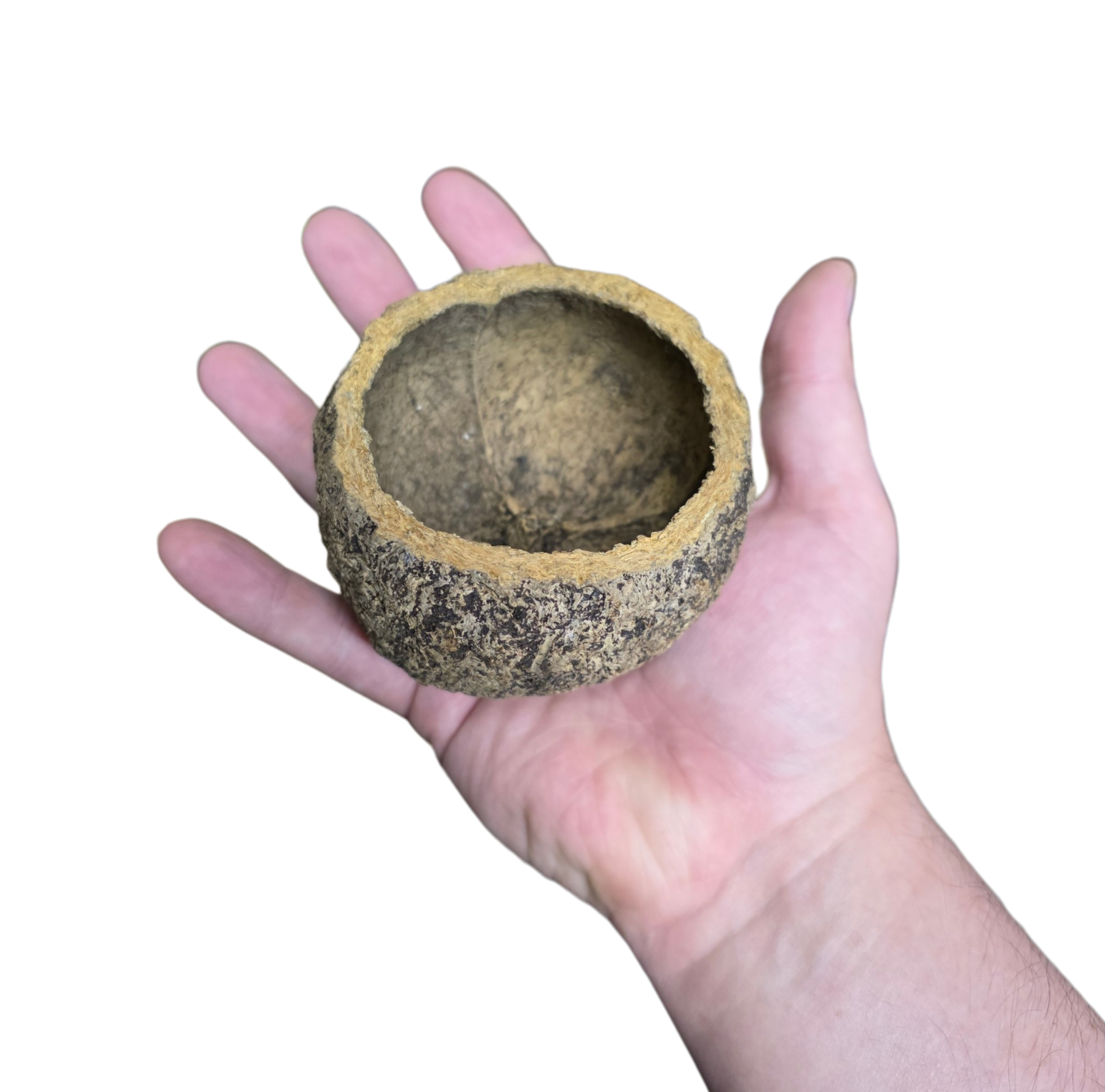 Mayan Pod image 2