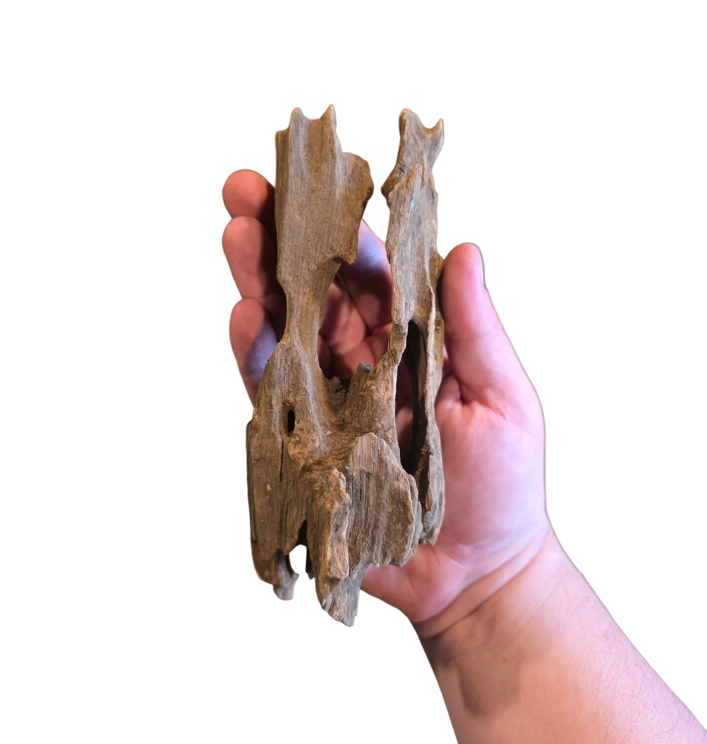 Dragon Wood image 3