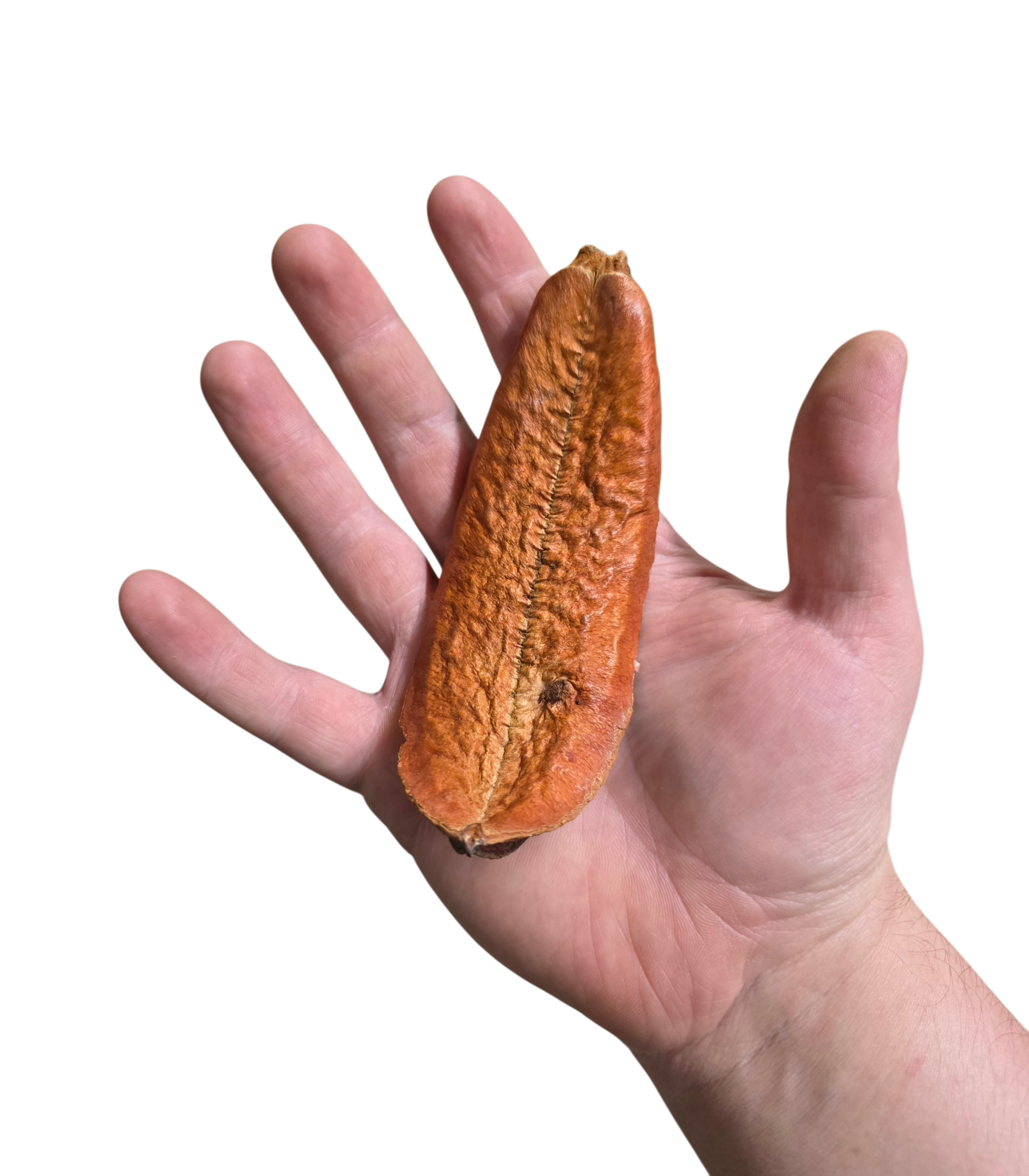 Mountain Pod image 2