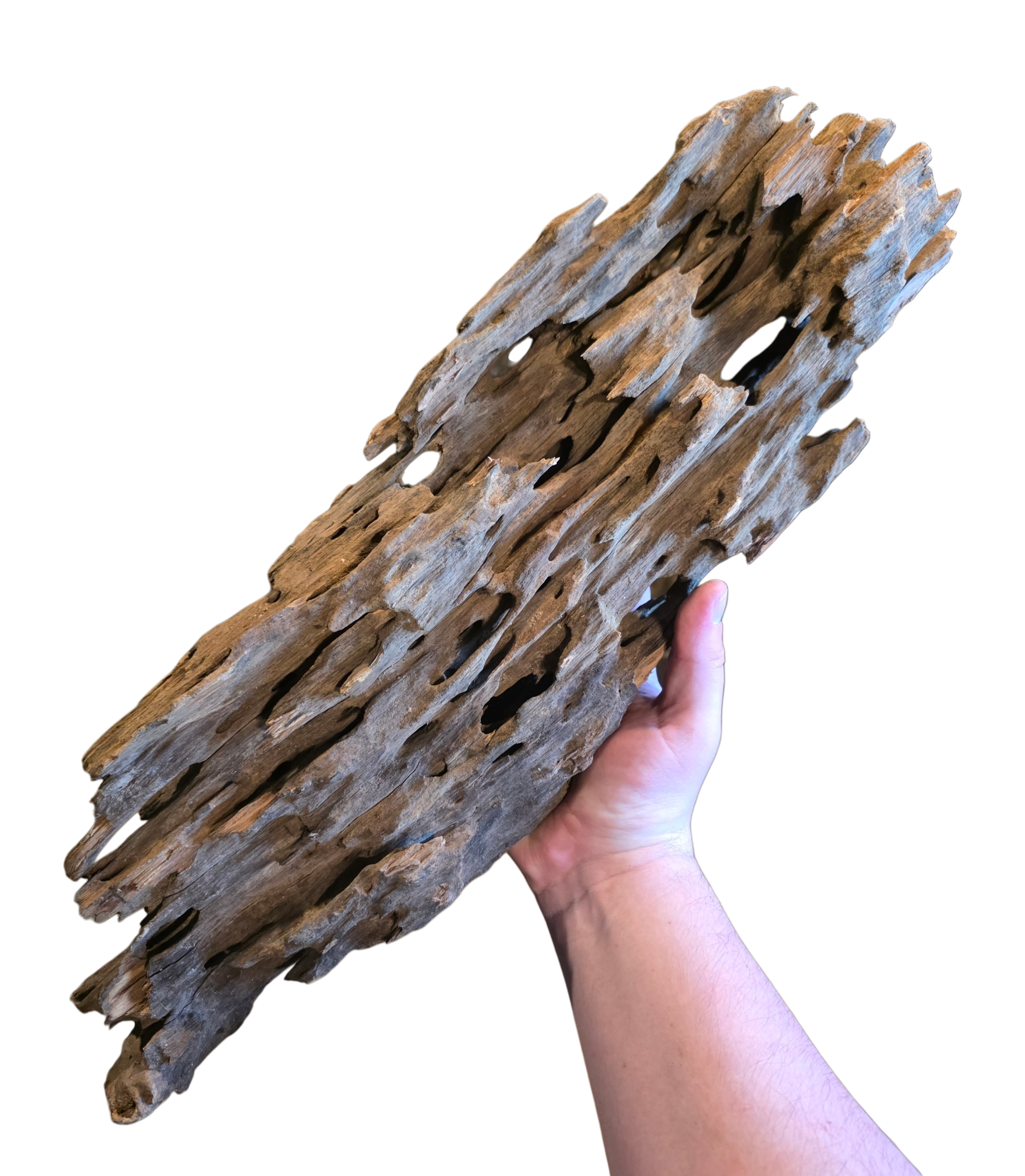 Dragon Wood image 7