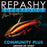 Repashy Community Plus