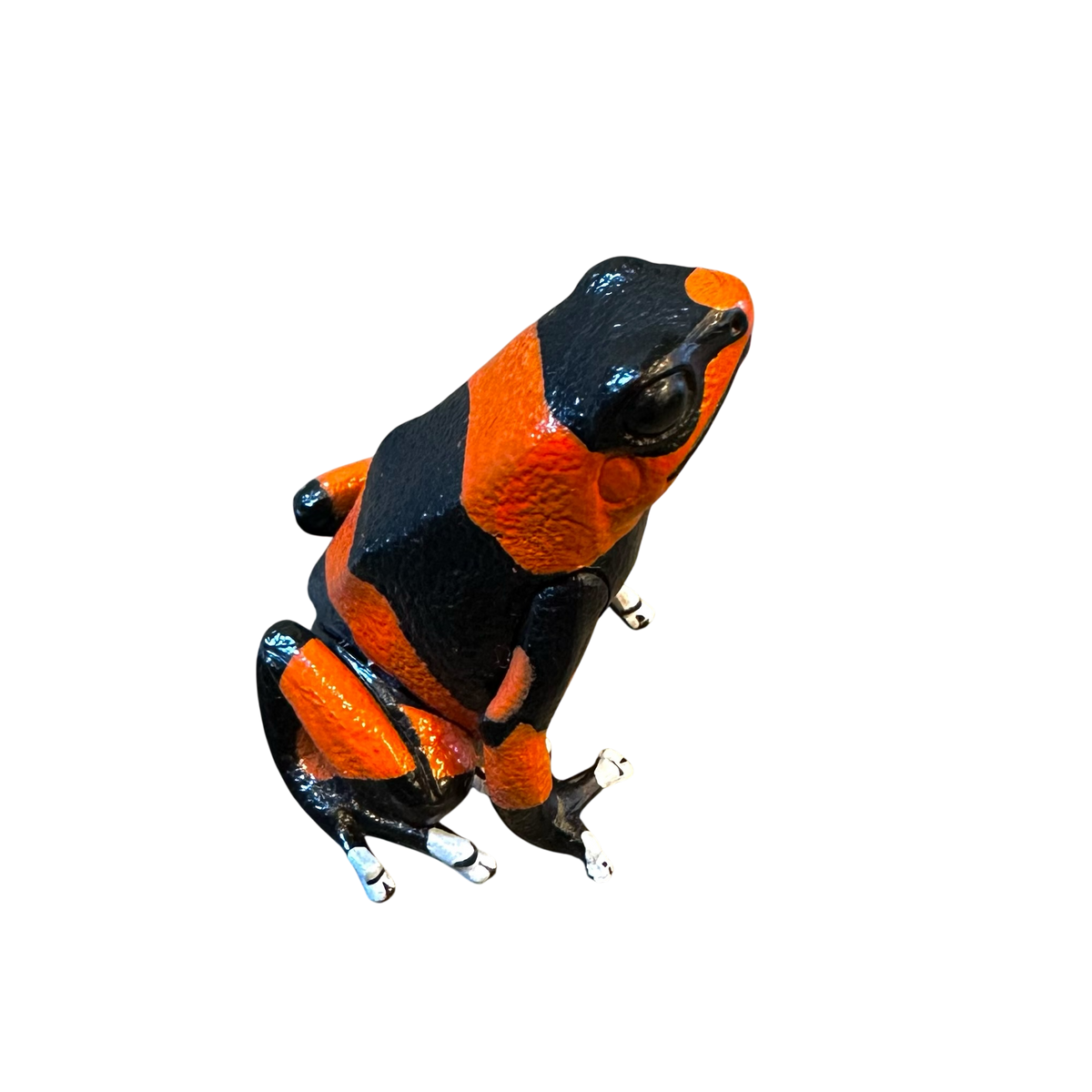Hyper-Realistic Figurine - Oophaga lehmanni “Red Orange” | FrogDaddy