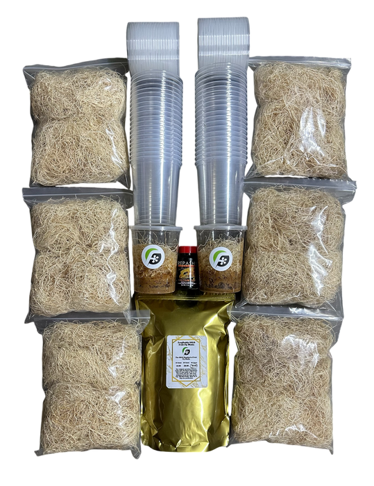 FrogDaddy Complete GOLD Fruit Fly Culturing Kit (D. melanogaster)