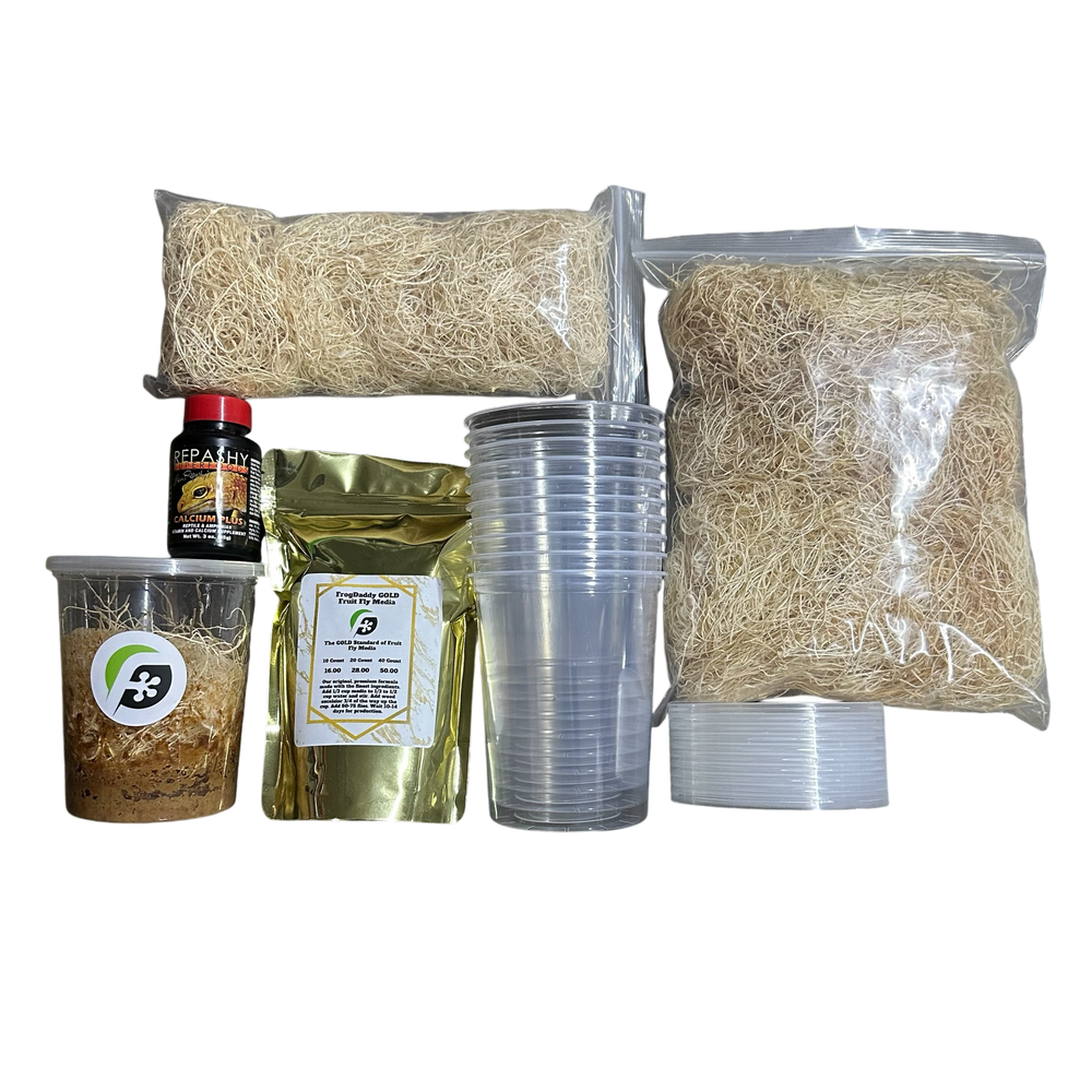 FrogDaddy Complete GOLD Fruit Fly Culturing Kit (D. melanogaster)