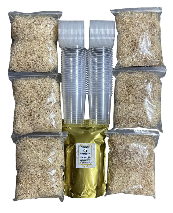 FrogDaddy Complete GOLD Fruit Fly Culturing Kit (D. melanogaster)