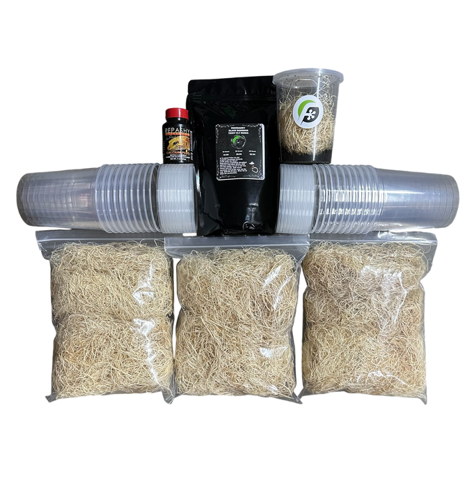 FrogDaddy Complete Black Diamond Fruit Fly Culturing Kit