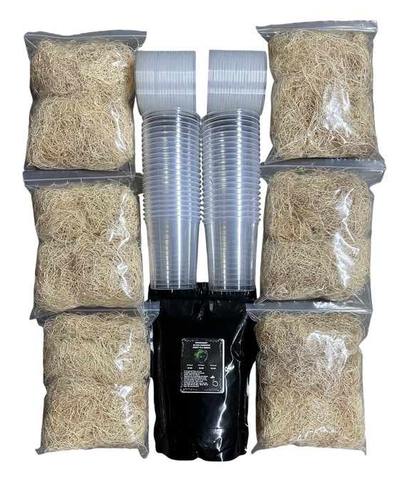 FrogDaddy Complete Black Diamond Fruit Fly Culturing Kit