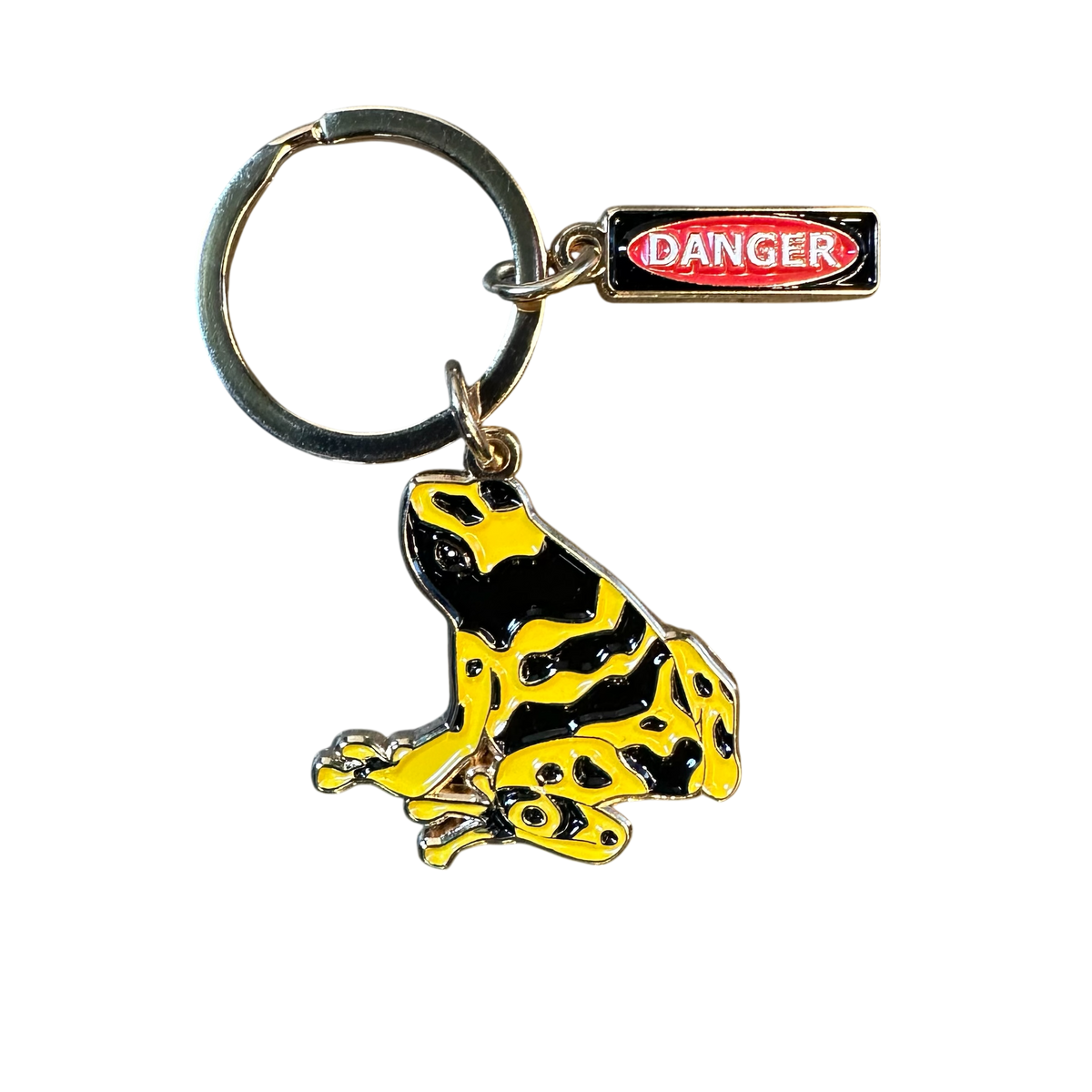 Key Chain - Bumblebee Poison Frog Vivarium Supply | FrogDaddy