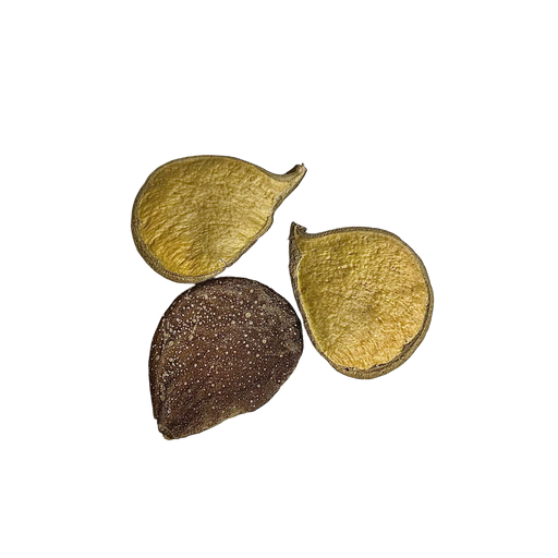 Palmade Pods