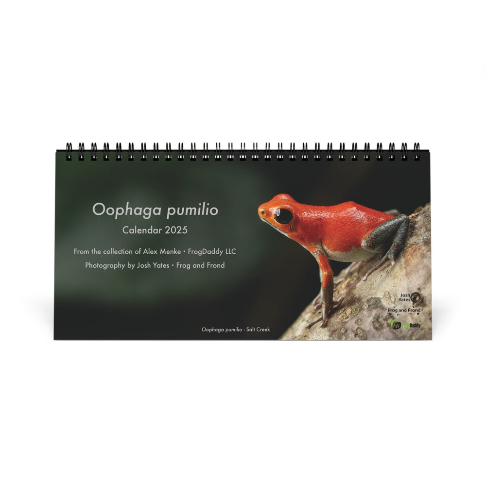 Oophaga pumilio 2025 Desktop Calendar 10″ x 5″