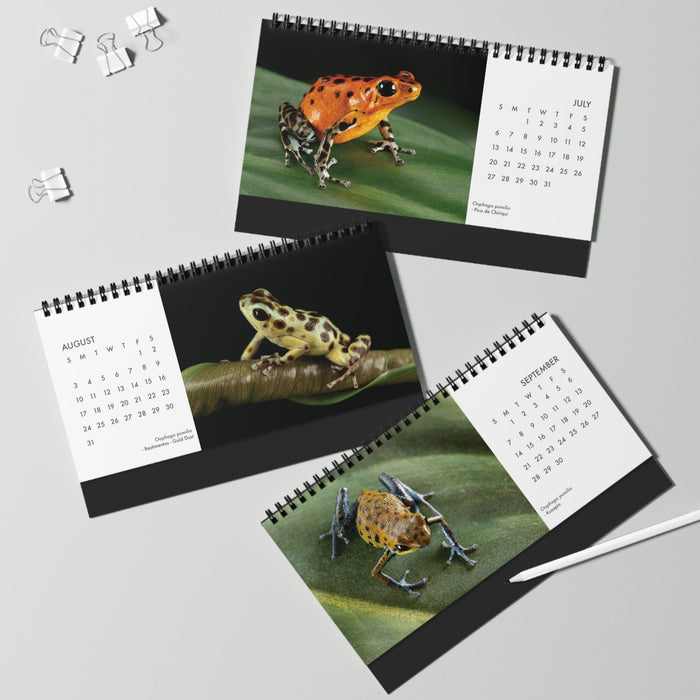 Oophaga pumilio 2025 Desktop Calendar 10″ x 5″