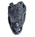 Reptile and Amphibian Hides - Dinosaur Skull image 3