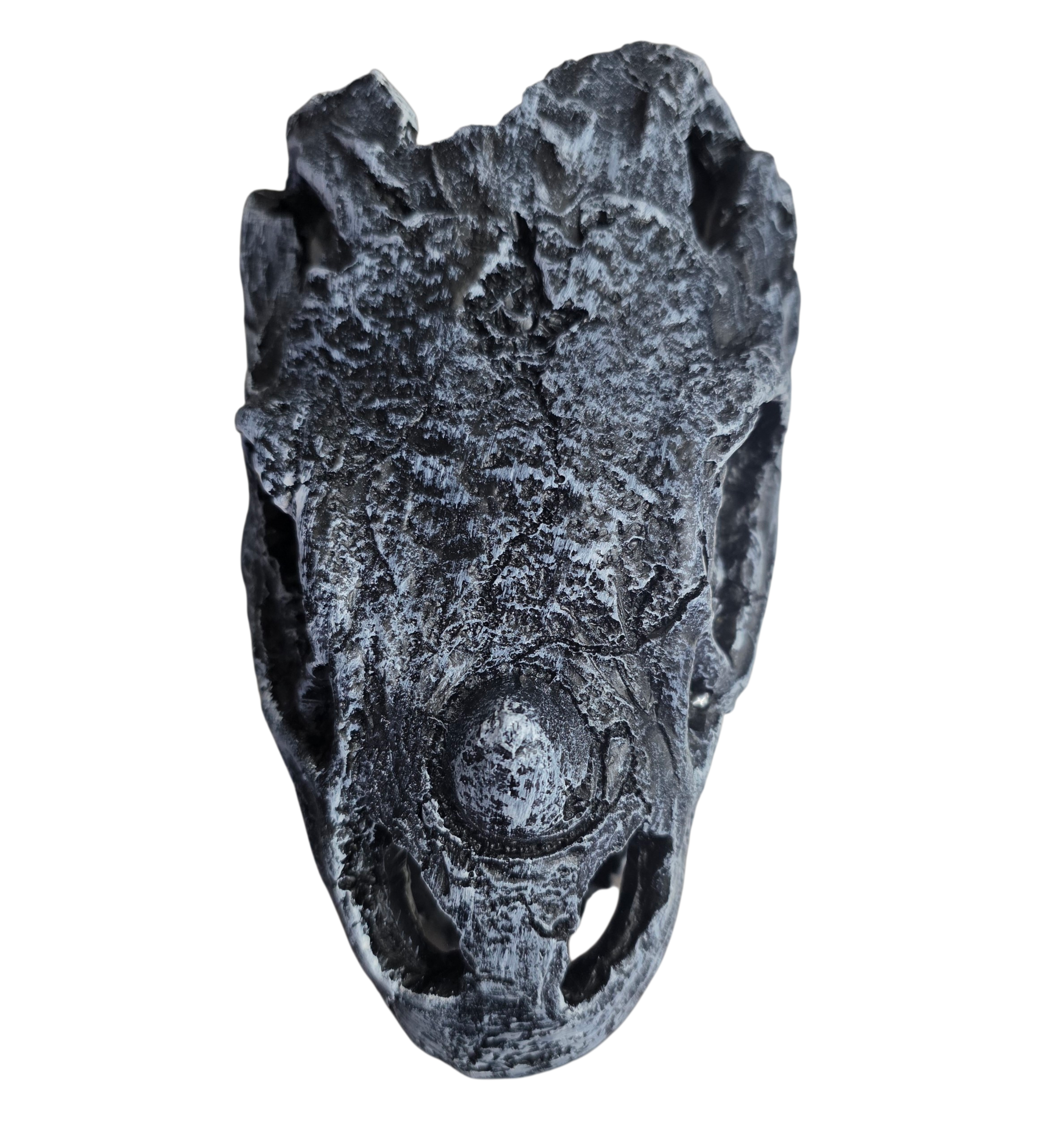 Reptile and Amphibian Hides - Dinosaur Skull image 3