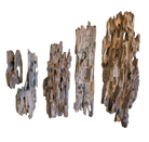 Dragon Wood image 2