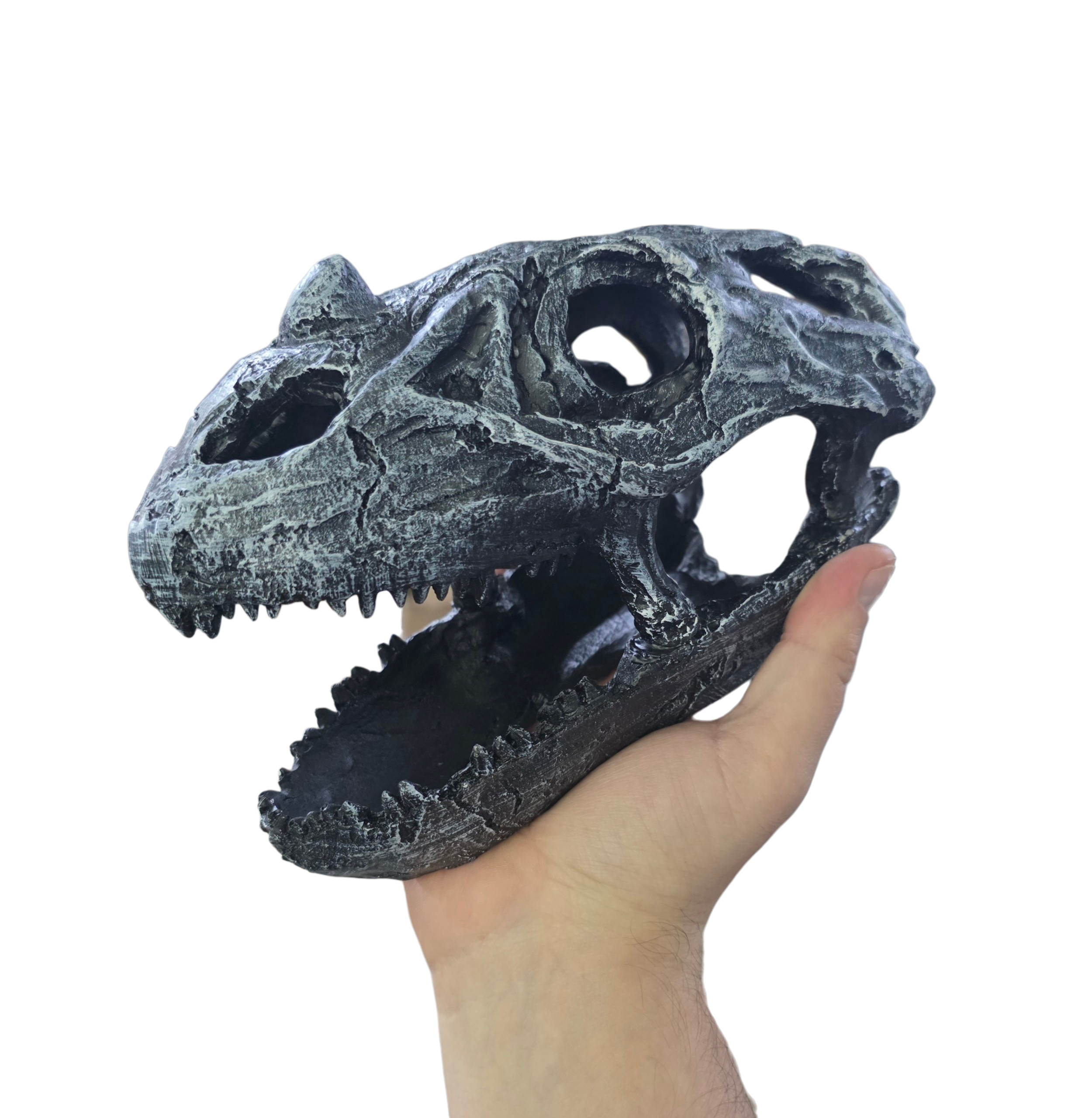 Reptile and Amphibian Hides - Dinosaur Skull image 2