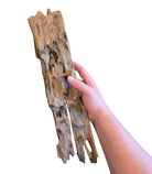 Dragon Wood image 6
