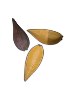Sheathe Pod