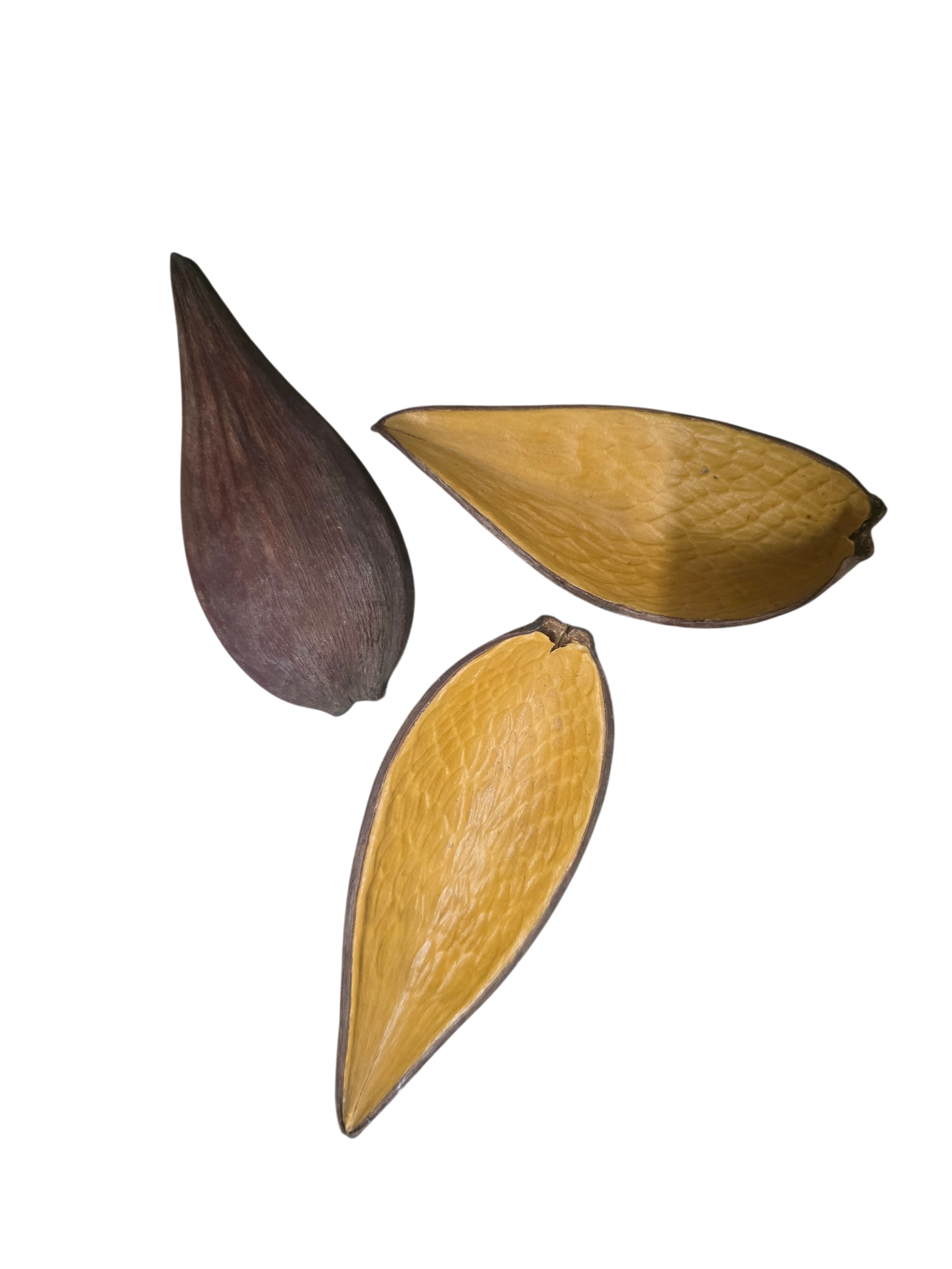 Sheathe Pod