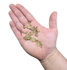 Tropical Leaf Litter - Tamarind Leaves - Micro Leaf Litter image 2