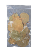 Tropical Leaf Litter - Moneta Leaves image 3