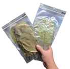 Tropical Leaf Litter - Cashew Leaves image 3
