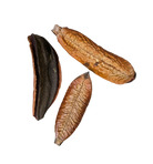 Mountain Pod