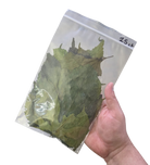 Tropical Leaf Litter - Mulberry Leaves image 3