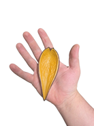 Sheathe Pod image 2