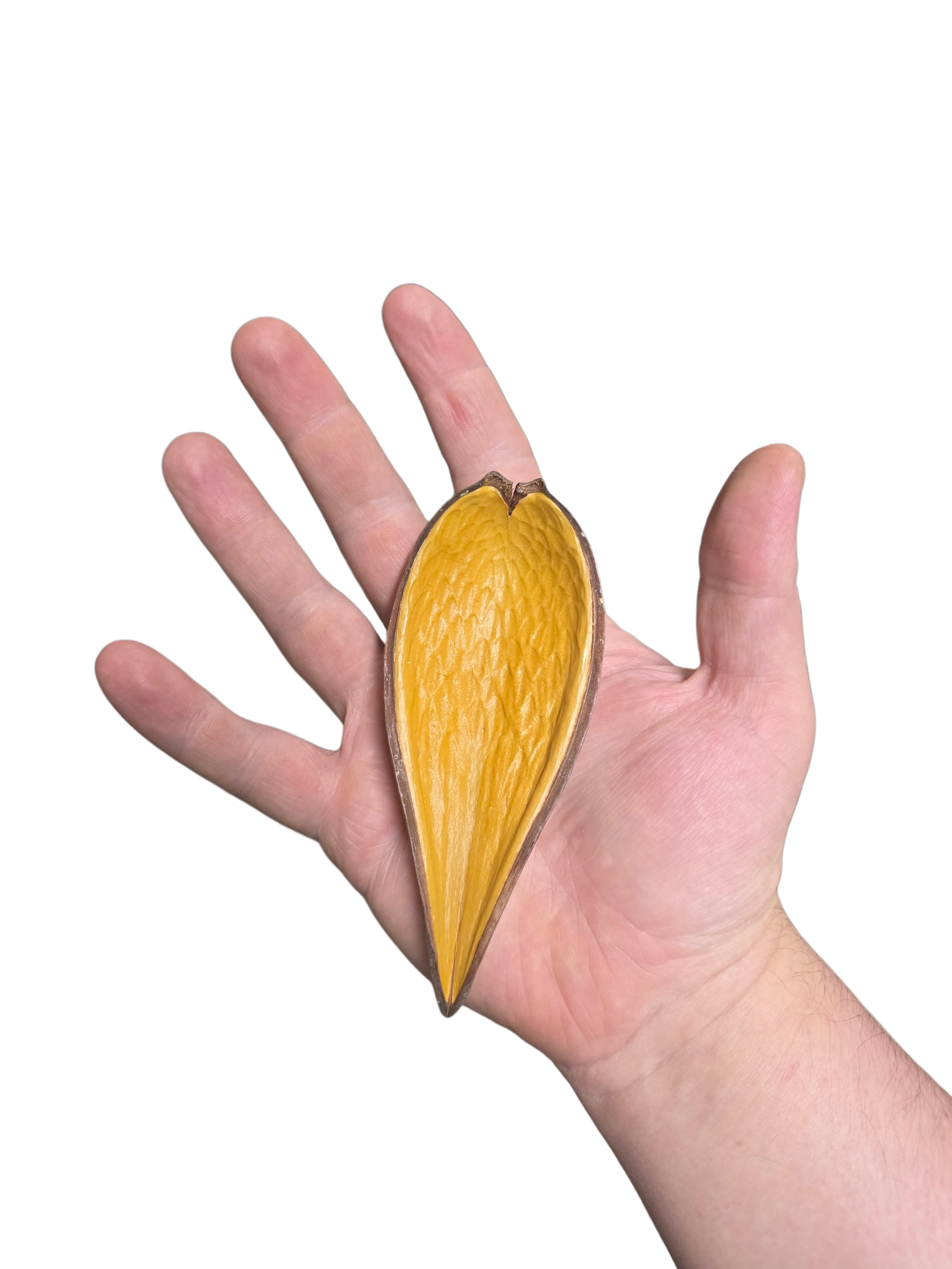 Sheathe Pod image 2