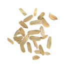 Tropical Leaf Litter - Tamarind Leaves - Micro Leaf Litter
