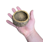 Mayan Pod image 2