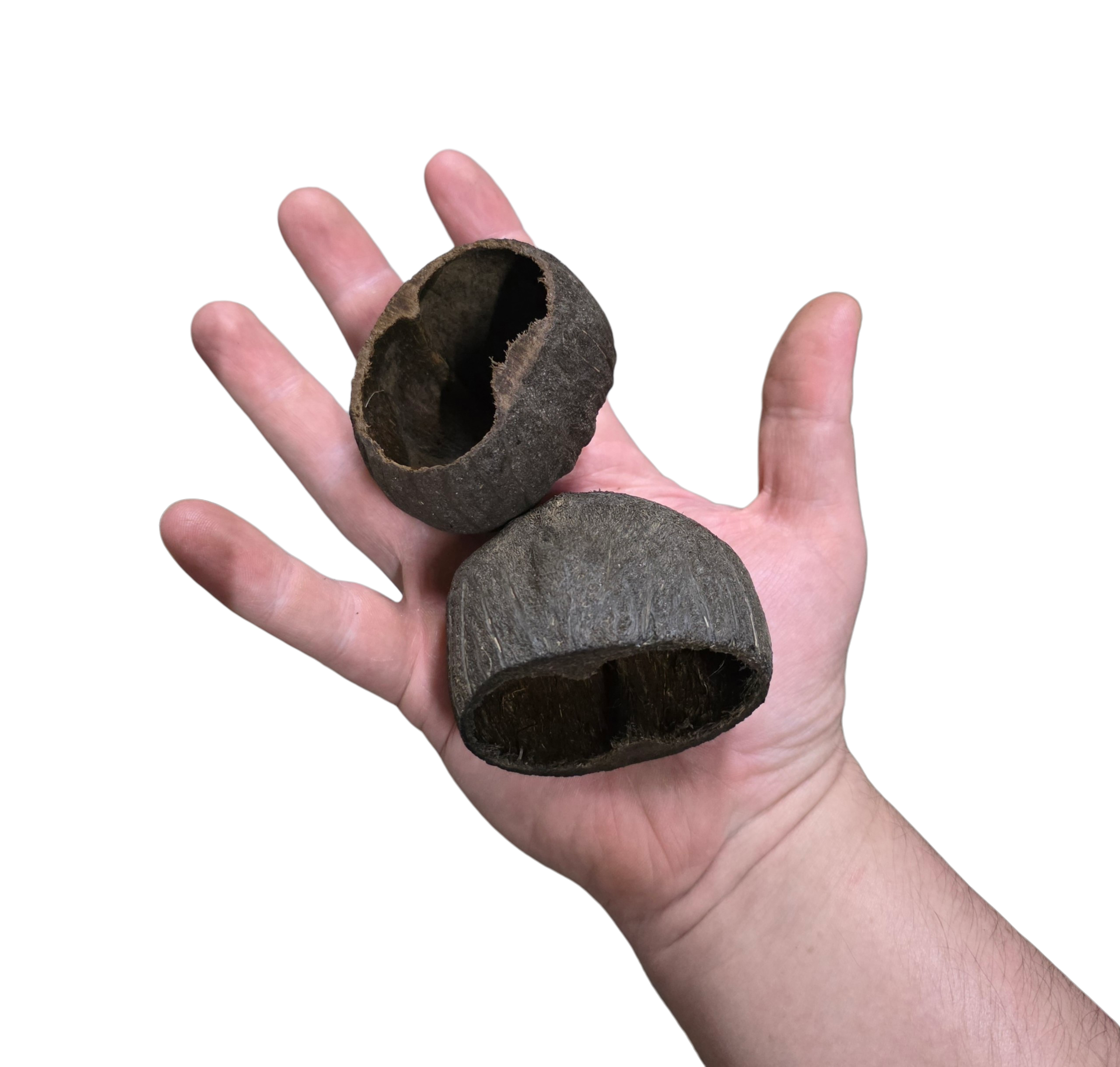 Cave Pods image 2
