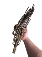 Palm Branch image 2