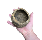 Mayan Pod image 3