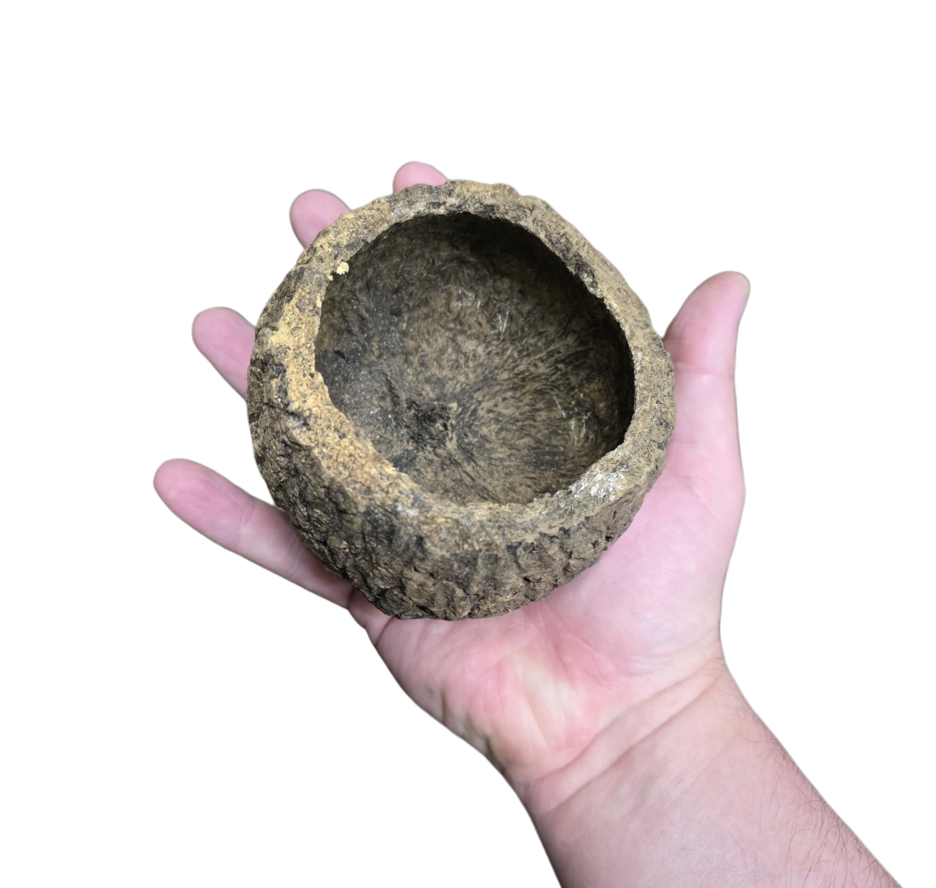 Mayan Pod image 3
