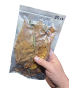 Tropical Leaf Litter - Avocado Leaves image 3