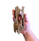 Dragon Wood image 3