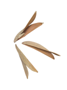 Split Petal