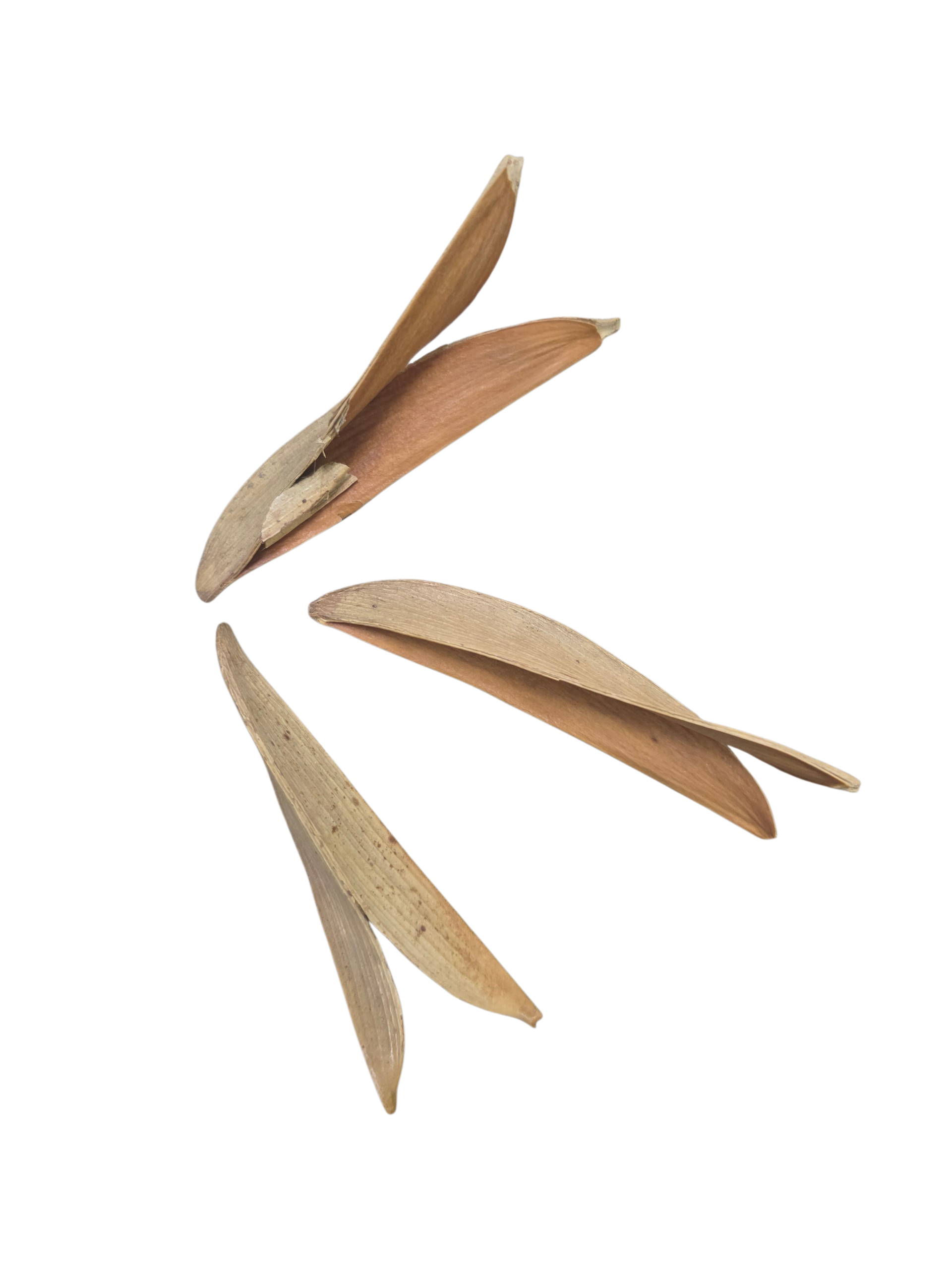 Split Petal