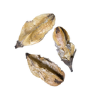 Palm Core