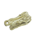 Reptile and Amphibian Hides - Crocodile Skull image 3