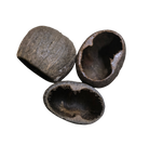 Cave Pods