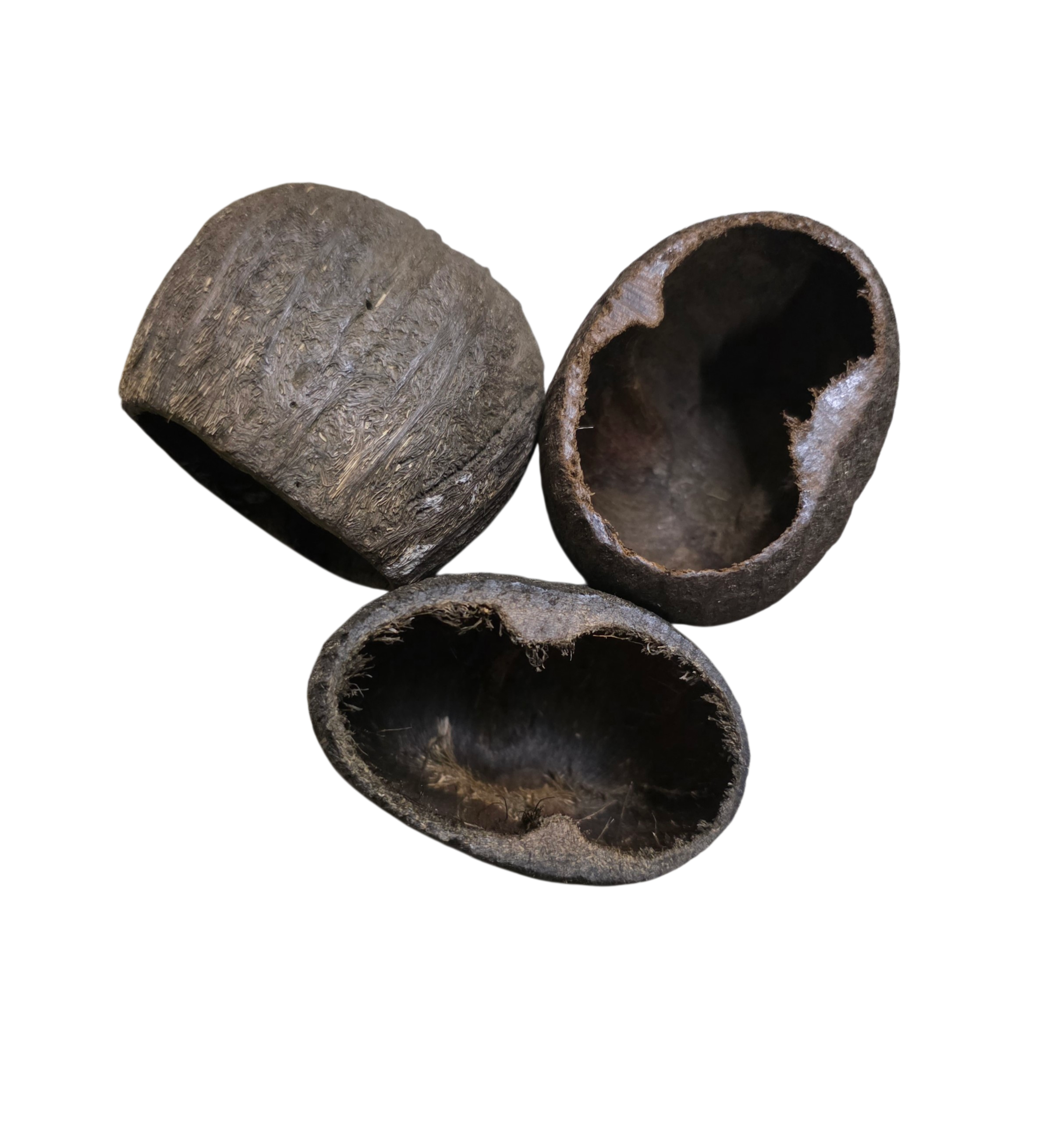 Cave Pods